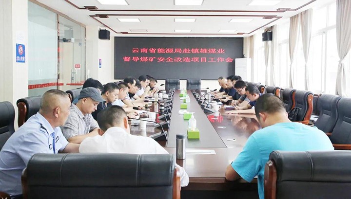 云南省能源局副局长汤忠明一行赴镇雄煤业督导煤矿安全刷新项目