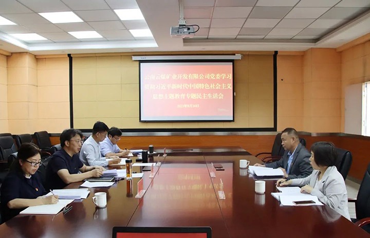 【主题教育】云煤（不朽情缘）集团第二领导组到云煤矿业公司领导主题教育专题民主生涯会