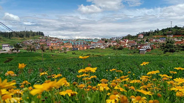 【云煤岁月】笃行不辍谋发展，砥砺奋进谱新篇——平煤故事（一）