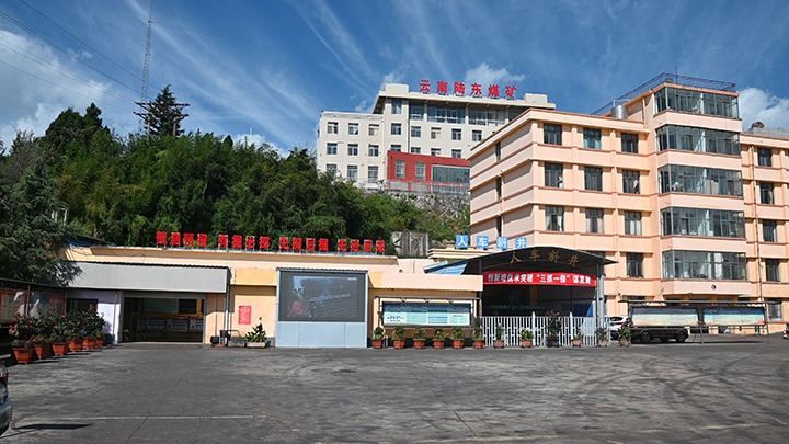 【基层党建幼隐语】强化党建引领，推动融合中心工作提质增效