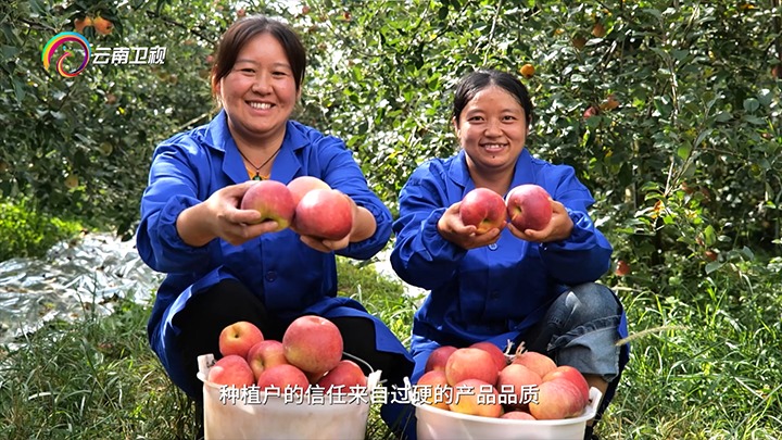 《云南卫视》播报：云煤集团解化好肥助力“三农”发展，共绘村落振兴“幸；怼